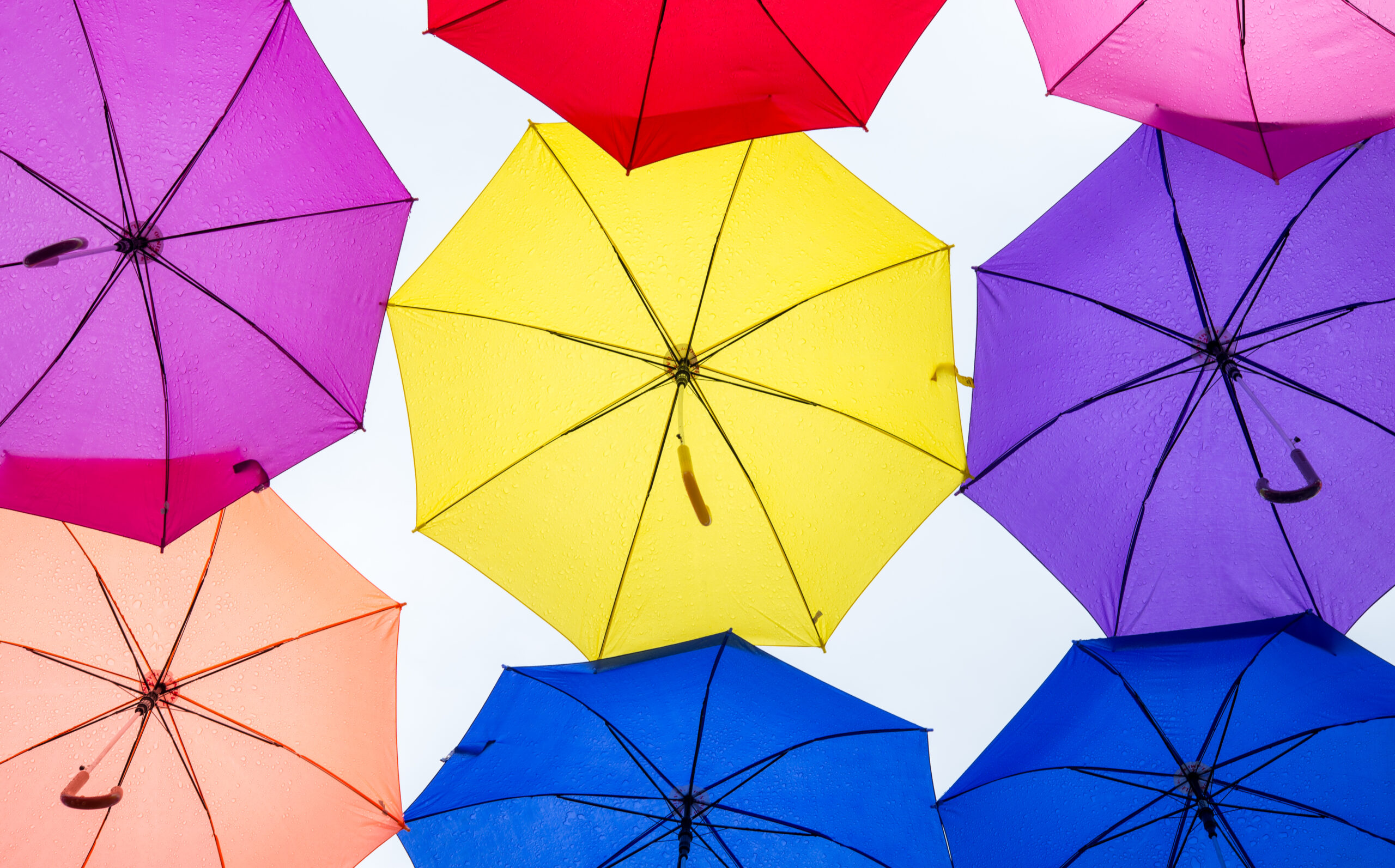 umbrella insurance Miami Florida